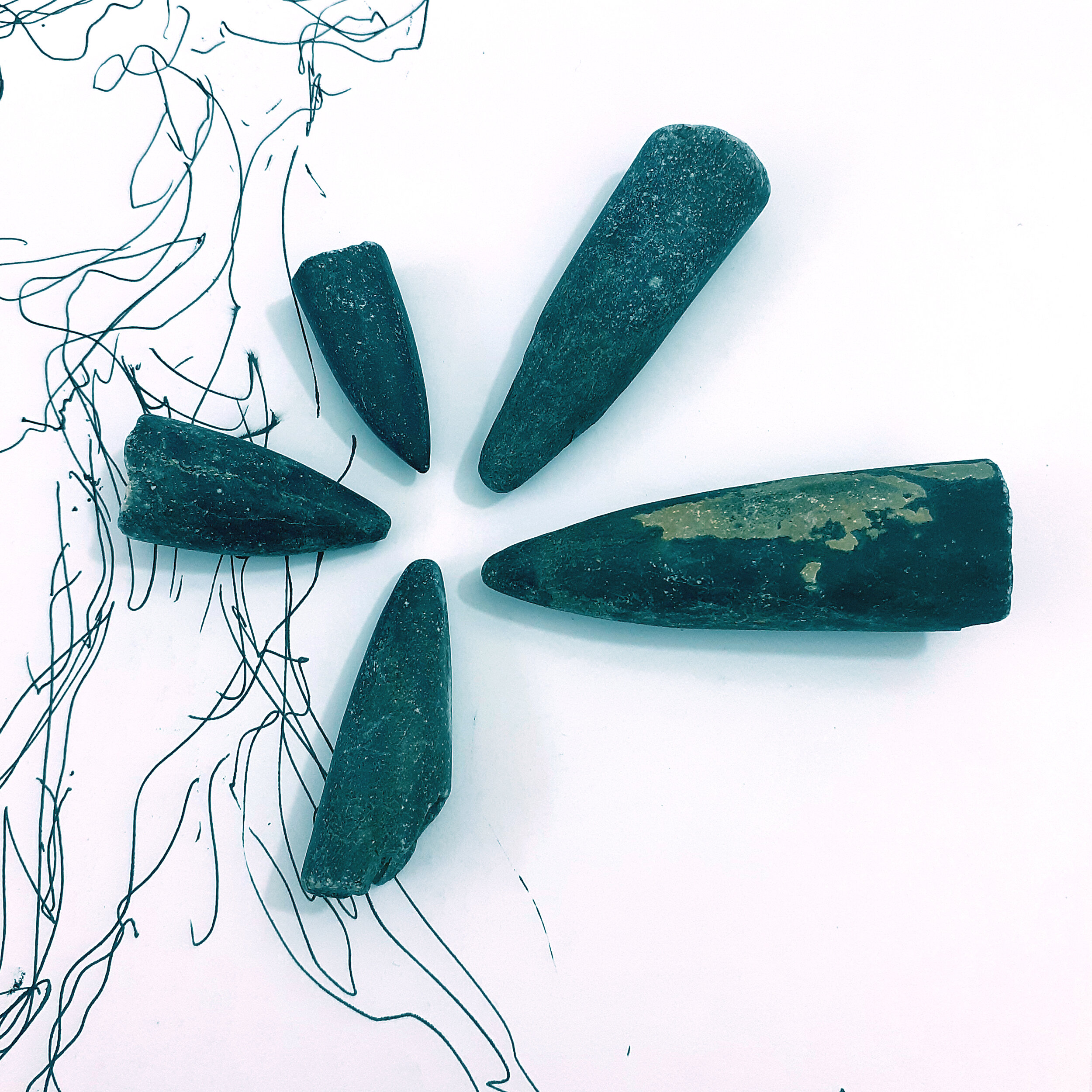 Belemnite fossils found by me at Saltwick Bay near Whitby